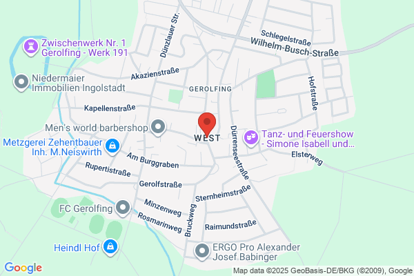 Ingolstadt West, German Auto Specialists