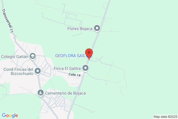 Flowers By Geo