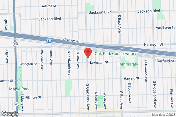 David G Spak Attorney