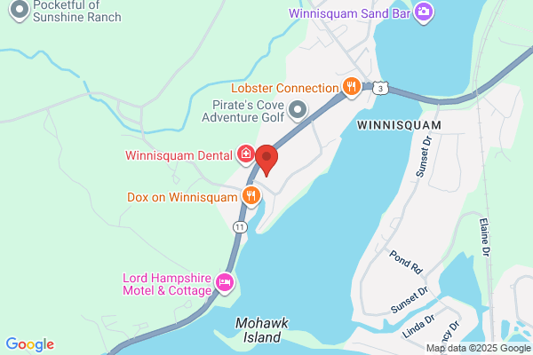Invisible Fence of NH Lakes Region