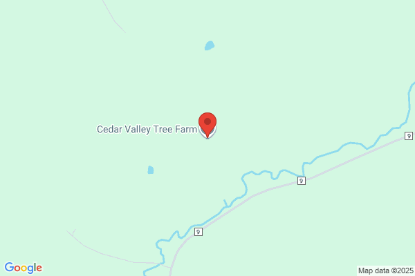 Cedar Valley Tree Farm