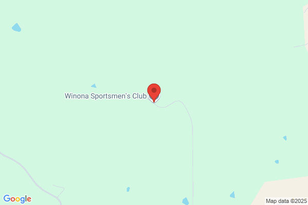 Lone Pine Gun Shop