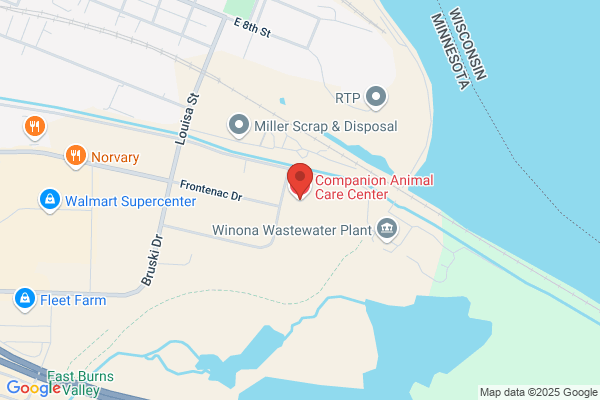 Companion Animal Care Center
