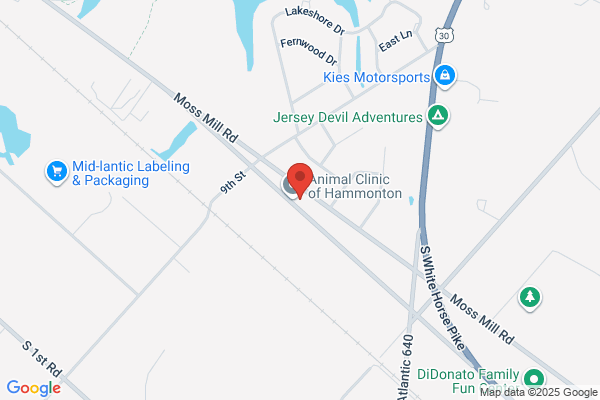 Animal Clinic Of Hammonton