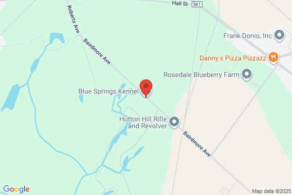 Blue Springs Kennel