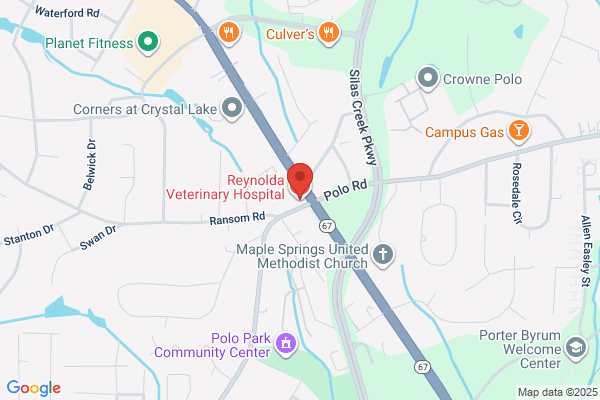 Reynolda Vet Hospital