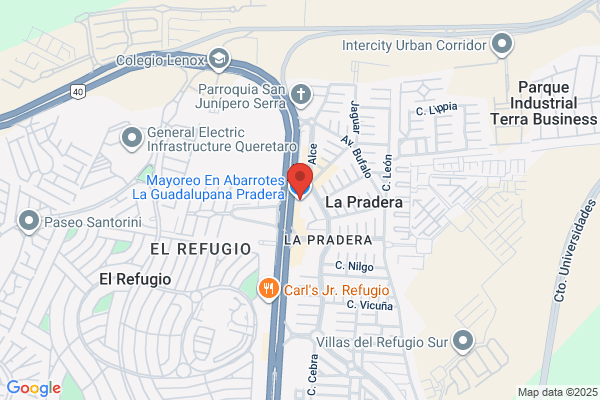 Abarrotera La Guadalupana