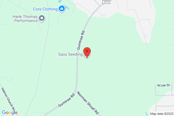 Sass Seeding LLC