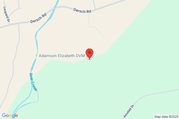 Bybee Elizabeth M DVM