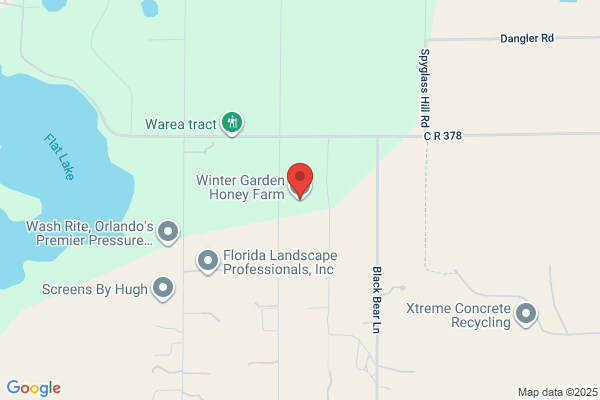 Wild Florida Honey