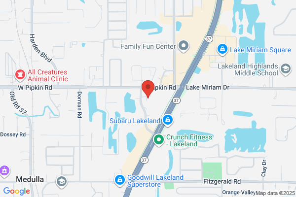 Scott Orthodontics