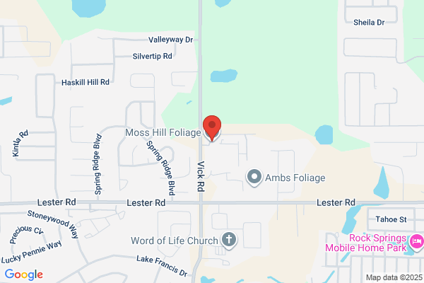 Moss & Company PA