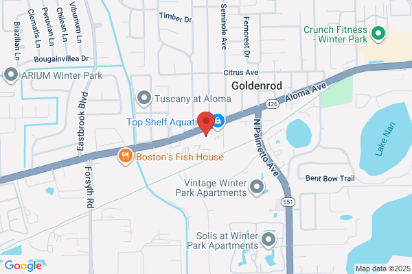 AutoZone Auto Parts