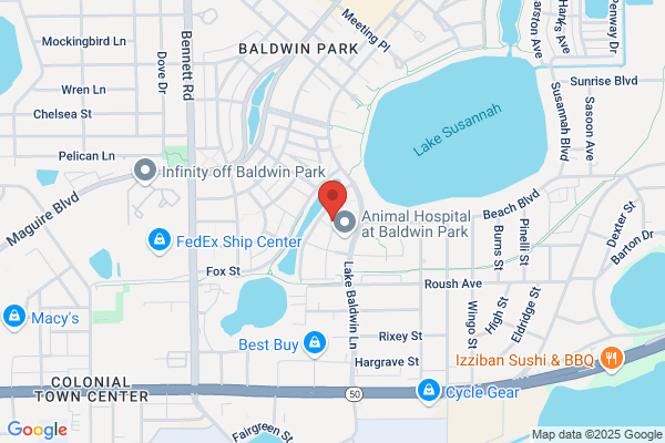 Orlando Pediatric Dentistry & Orthodontics