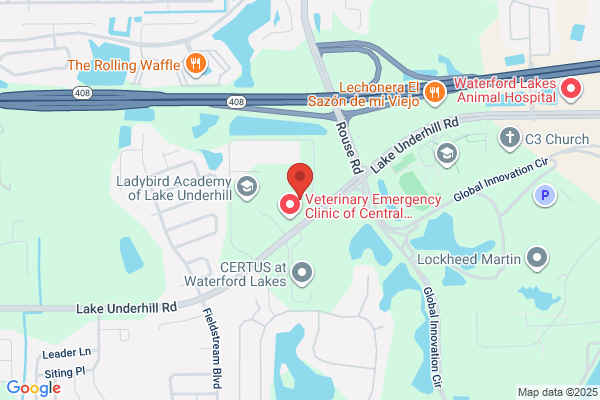 Carey Debtclctr PA