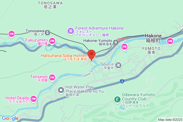 Hatsuhana Japanesse Restaurant