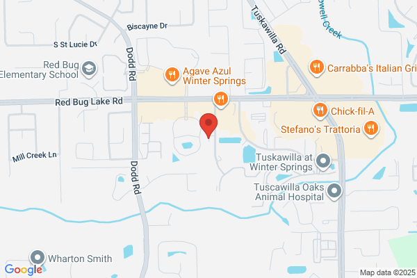Winter Springs KinderCare