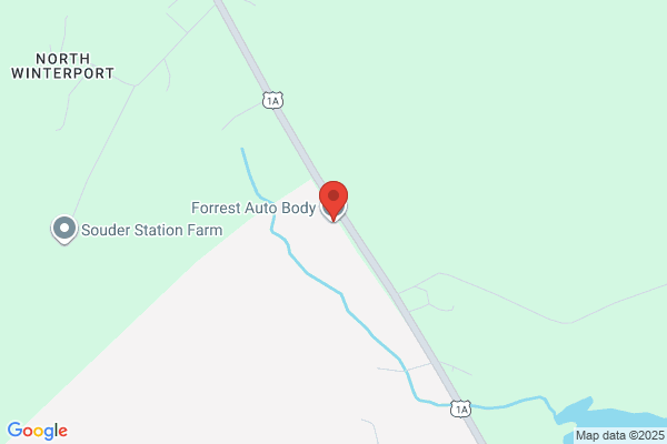 Forrest Auto Body