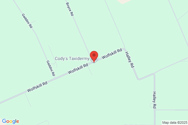 Codys Taxidermy