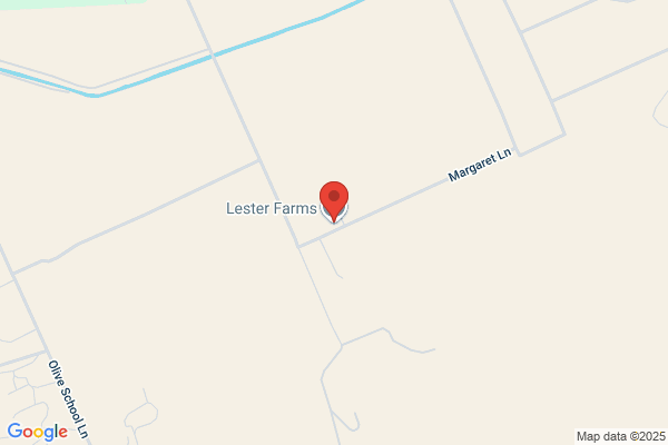 Somerset Farm