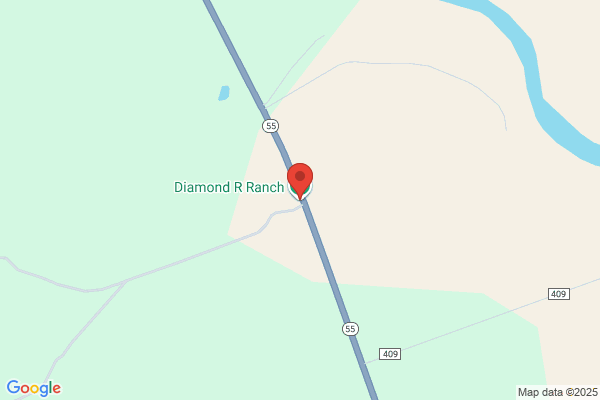 Diamond D Whitetail Ranch