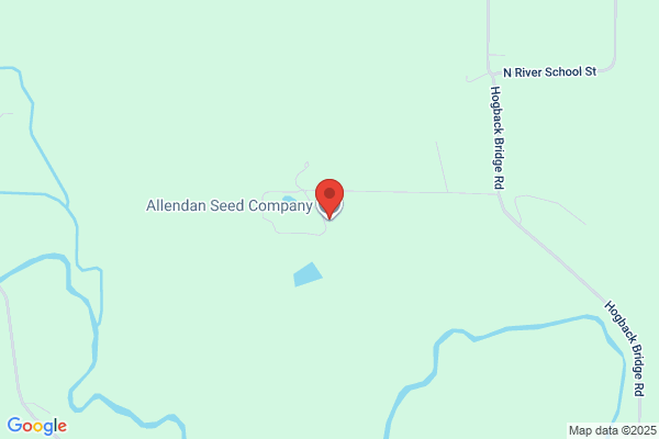 Allendan Seed