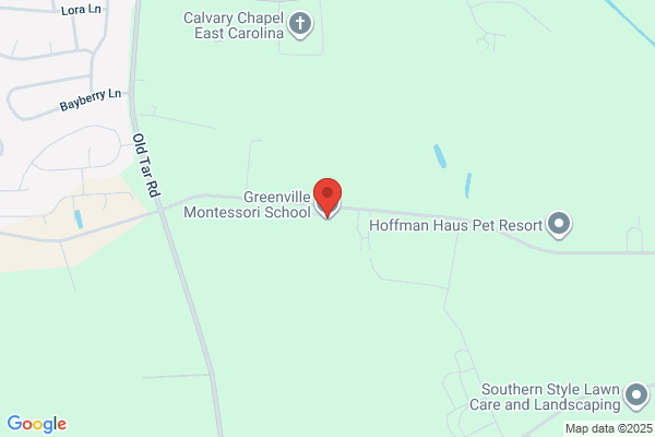 Montessori School of Greenville