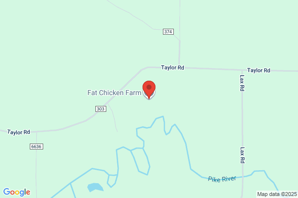 Fat Chicken Feed Store