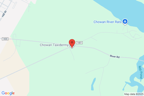 Chowan Taxidermy