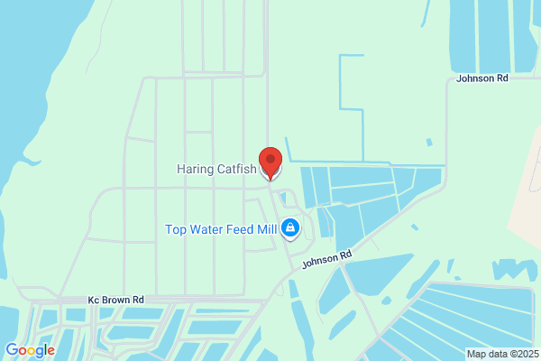 Harings Pride Catfish