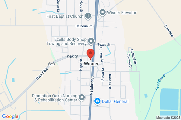 Wisner Town Of
