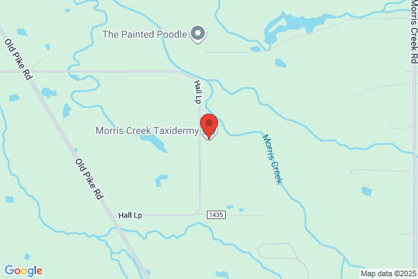 Mt Creek Taxidermy