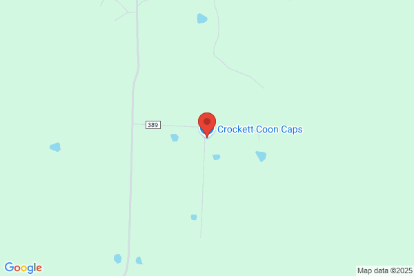 Crockett Coonskin Caps