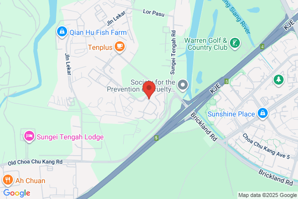 Prince Landscape & Construction