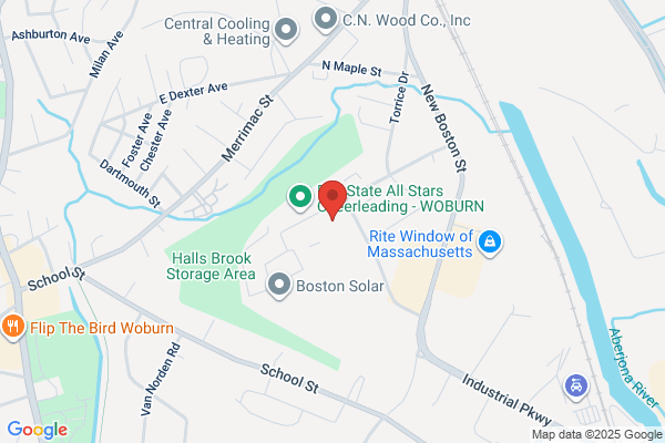 Boston Microsystems Inc