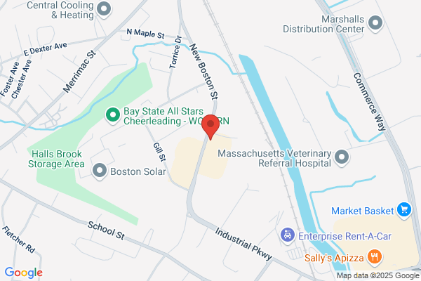 Boston Industrial Solutions, Inc.