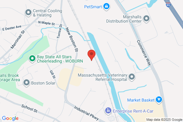 Direct Auto Parts Inc