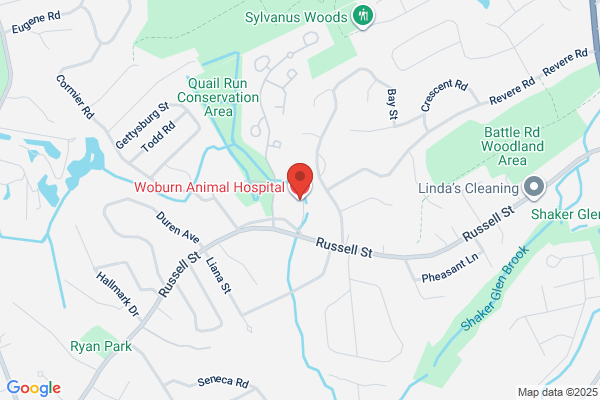 Woburn Animal Hospital