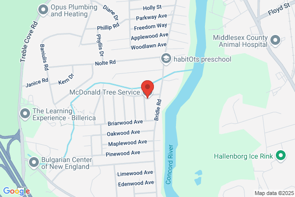 MicDon Tree Service