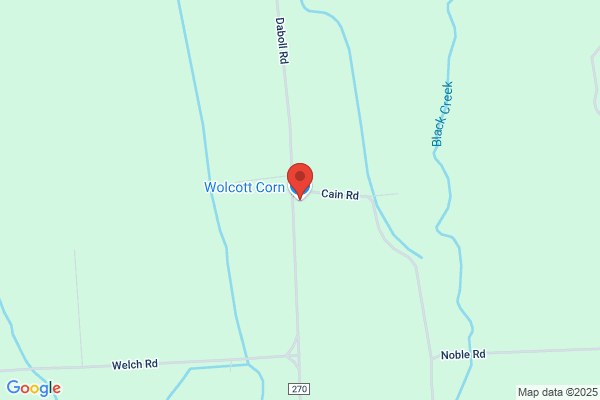 Wolcott Corn Inc