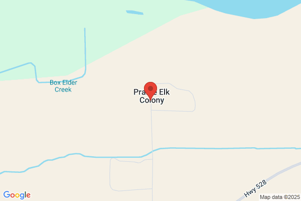 Prairie Elk Colony