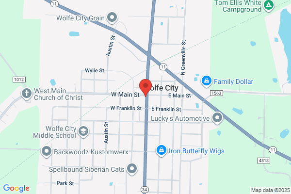 Police, Wolfe City