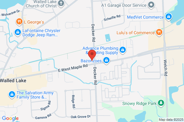 Dm Motors LLC