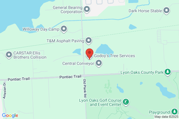 Godoy's Tree Services