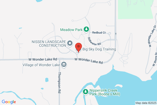 Big Sky Dog Training