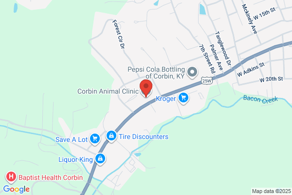 Corbin Animal Clinic