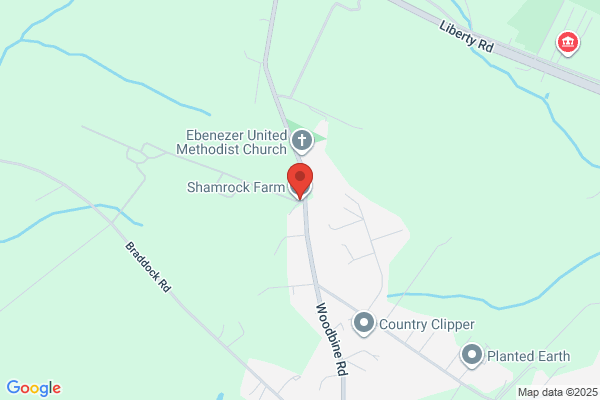 Shamrock Farms