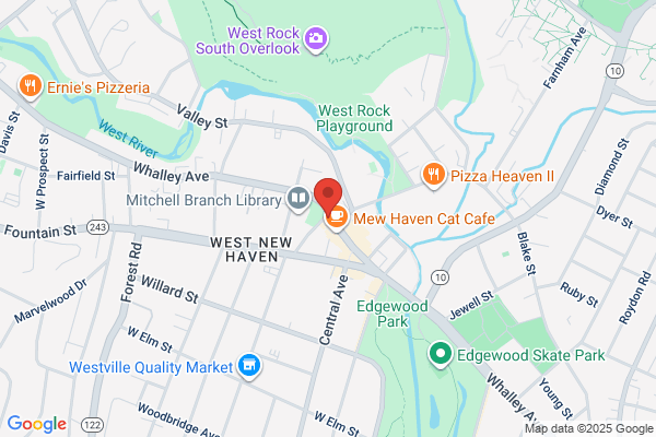 Steve Rivkin | Planet Realty