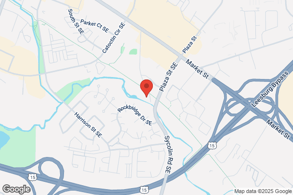 Southern Electric Service Inc