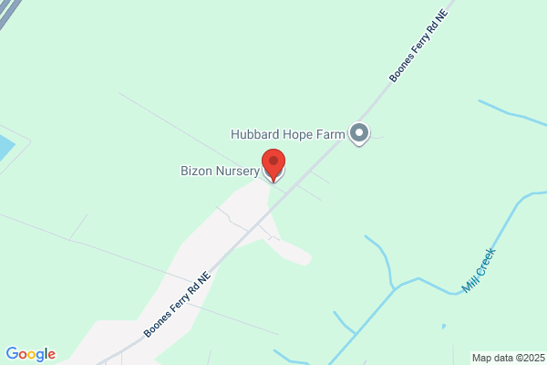Bizon Nursery